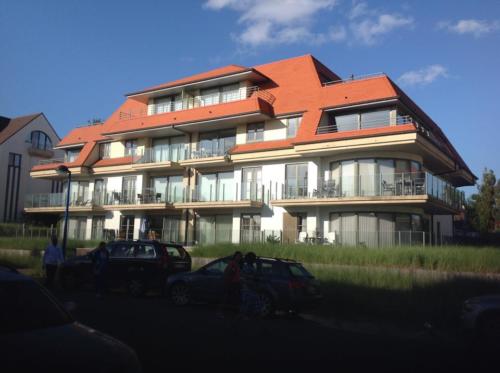 561830 114135298741523 68585058 n